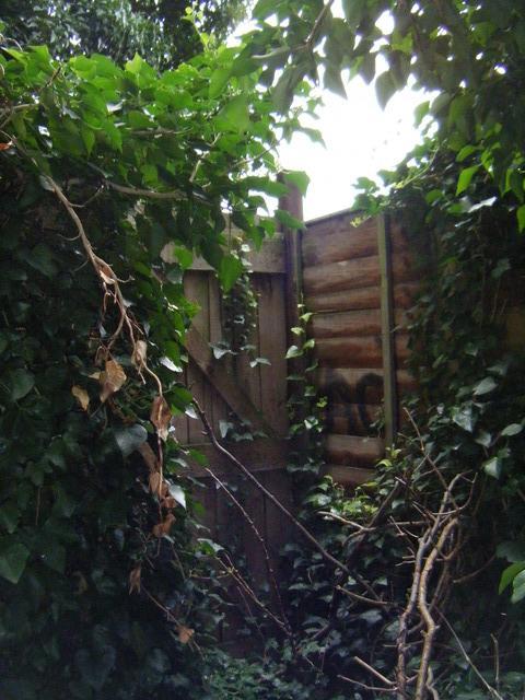dscf2127.jpg